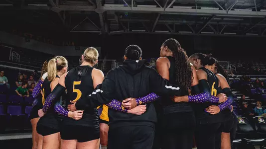 Newcomer VBALL Release