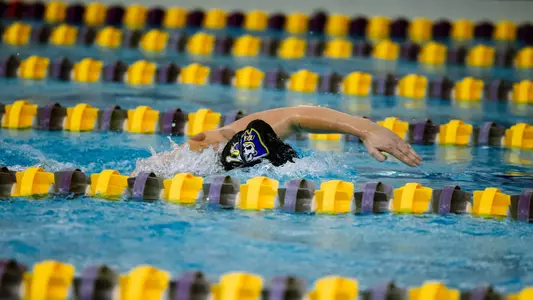 CSCAA All-America
