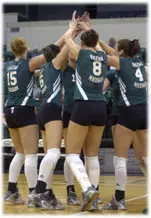 Volleyball Downed By Michigan, 3-1 Image