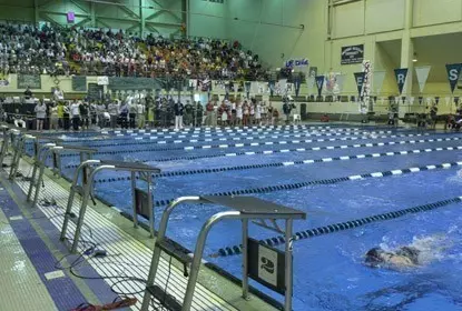 Men's Swimming Defeats Miami Image