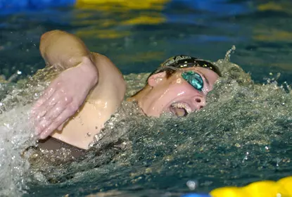 Swimming Upends Buffalo Image