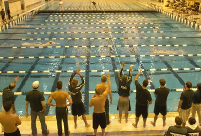 Swimming Sweeps Buffalo Image