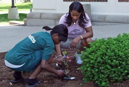 Student-Athletes Provide Support Image
