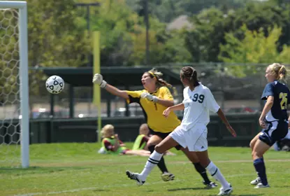 Soccer Ties Wolverines, 2-2, In Season Opener Image