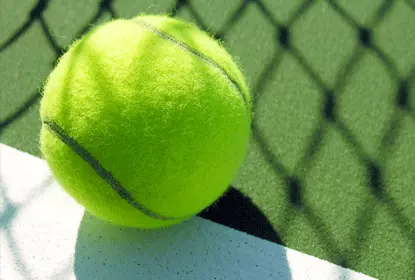 EMU Tennis Begins 2009 Regular Season Image