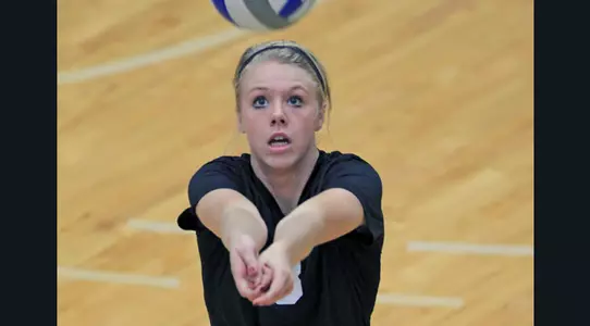 Paige Roback