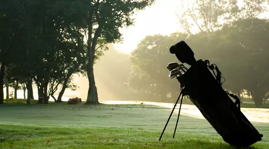 generic golf