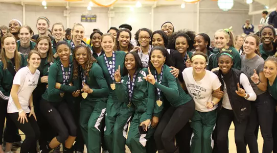 2011 wtrack chip