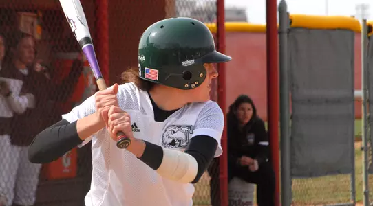 Gerber At Bat
