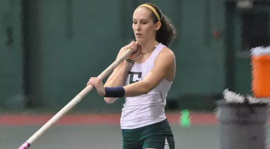 Hemingway pole vault