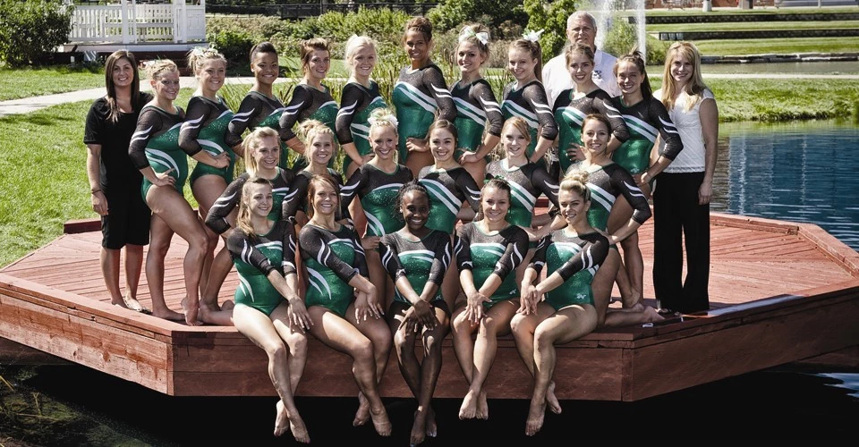 2013 WGYM Team