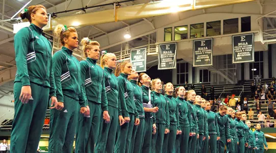 Gymnastics Team
