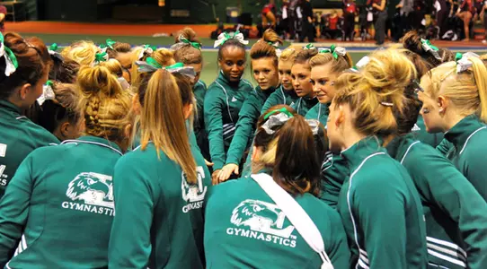 Gymnastics Team