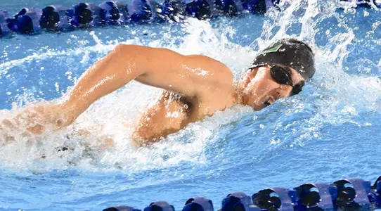 Men's Swim and Diving Action