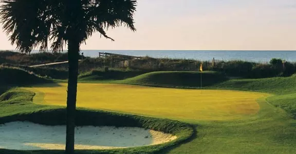 Palmetto Intercollegiate