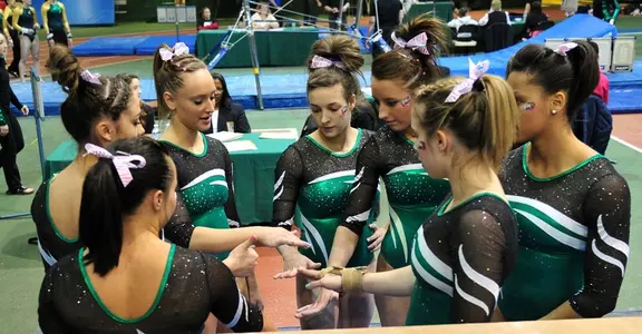 team 2013 gymanstics