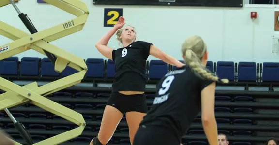 Roback at Canisius