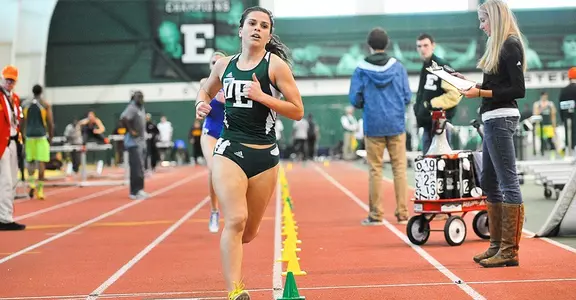 Taylor Knoll