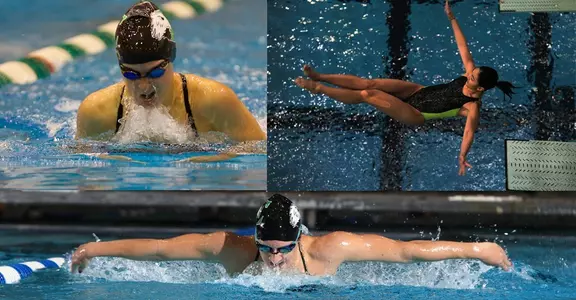 academicallmacwswim