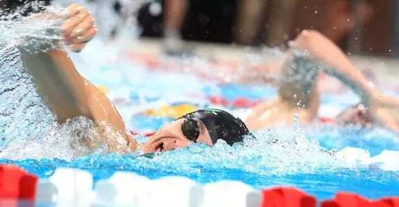 Axel Schmitter-Sanchez