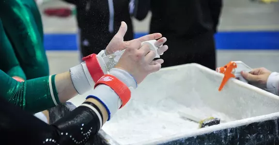 generic gymnastics chalk