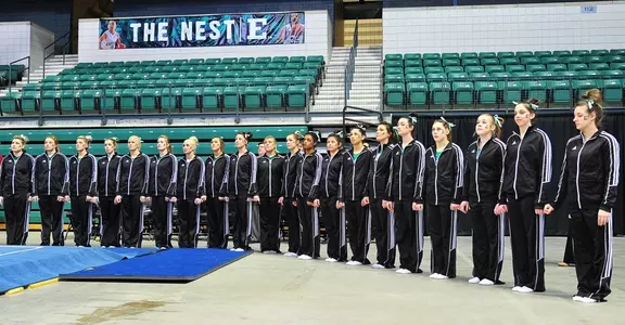 2015 gymnastics team