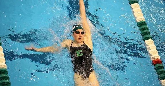 Alexis Mitcheltree