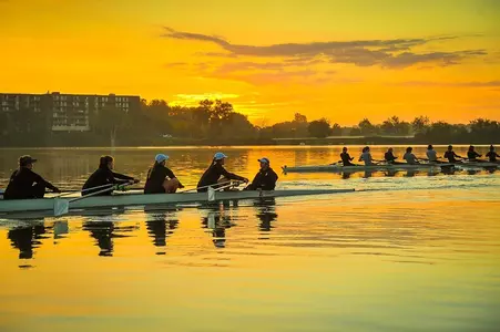 Rowing 3