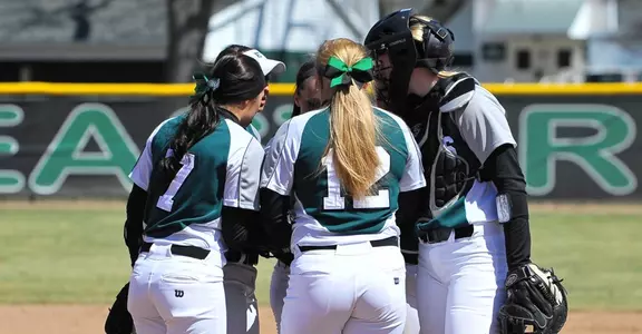 Softball Team