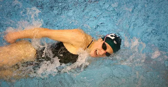 Alexis Mitcheltree