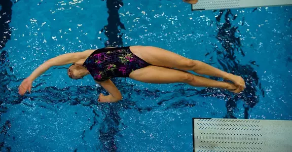 Alli Shereda
