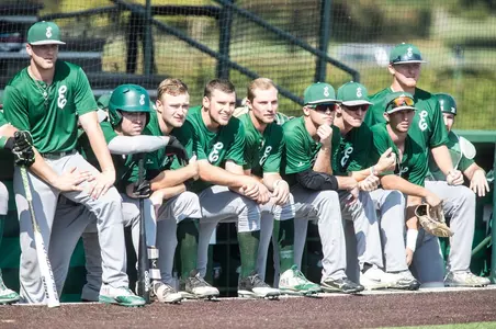 Baseball Team Dugout Fall Ball