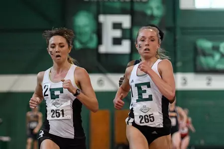 Bogdanova and McDermitt