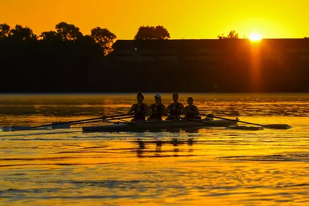 Rowing Sun