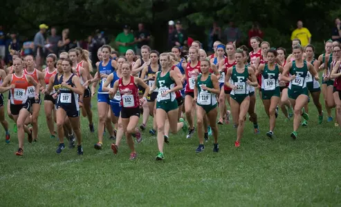 WXC Team