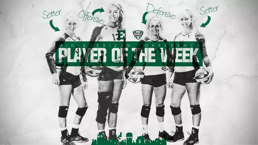 VB - Rajewski-Haut-LaFace-Taylor