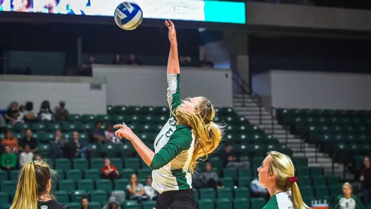 VB - Franki Strefling Toledo