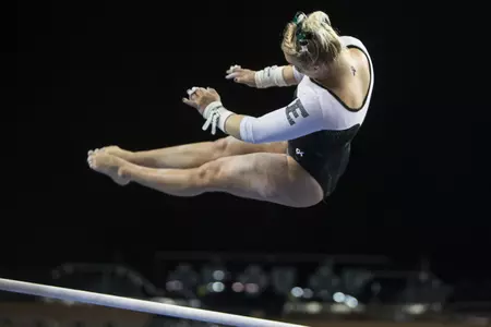 Bezold, Cortney - U of M Exhibition (12-3-2017)