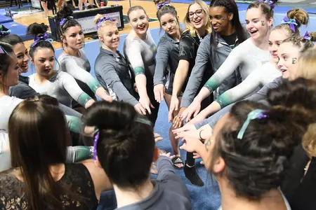Team huddle hands inGymnastics Senior Day