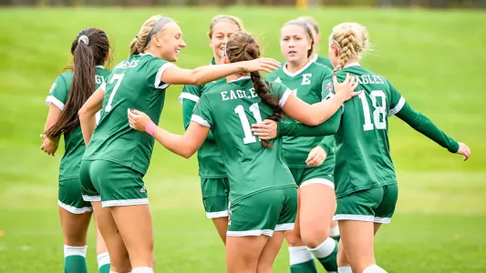 Soccer Celebrates After a Goal