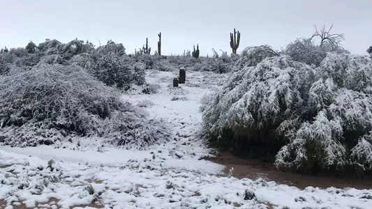 First Round of Rio Verde Invitational Postponed