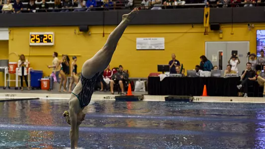 Diving at NCAA Zone C Championships 3.15.19