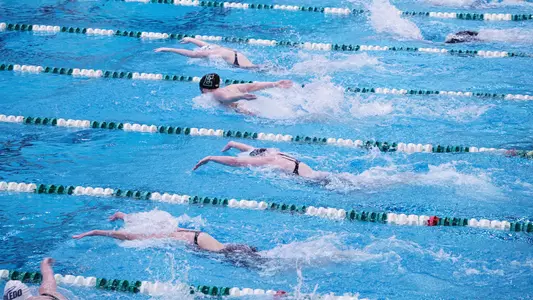 Butterfly at the EMU Last Chance Invite