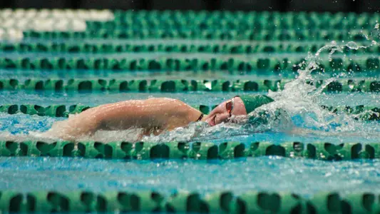 Swimmer swims the freestyle versus Indiana State, Nov. 9, 2024