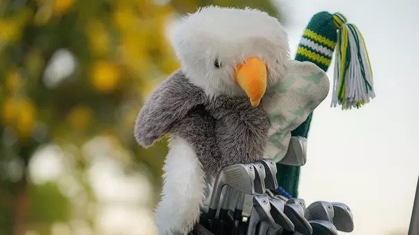 Eagle club head cover on a set of golf clubs