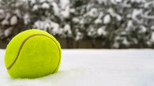 Tennis ball in snow