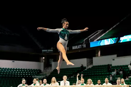 Analiah Solorio On Beam Vs. Wilberforce
