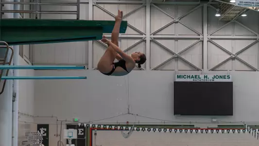 Aisling Gutierrez diving against Ball State Jan. 24, 2026
