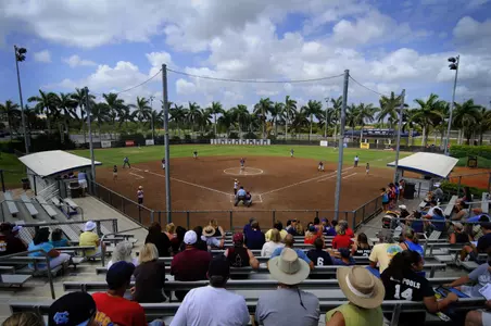 Softball stadium crow