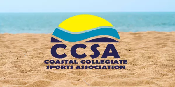 CCSA log